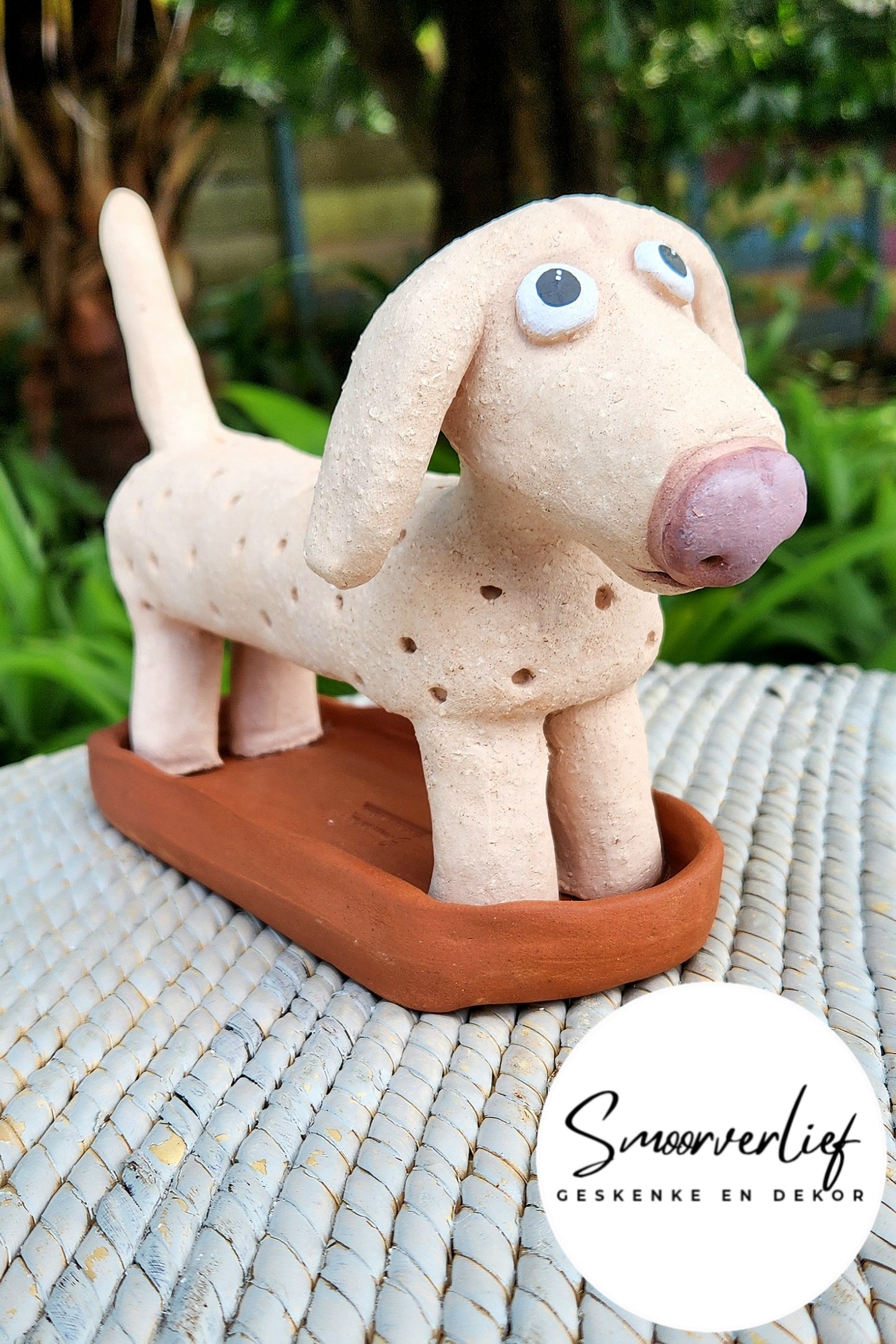 Chia Saadplanter, Skaap 🐑 + Gratis Babaskaap!