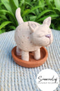 Chia seed planter , Sheep