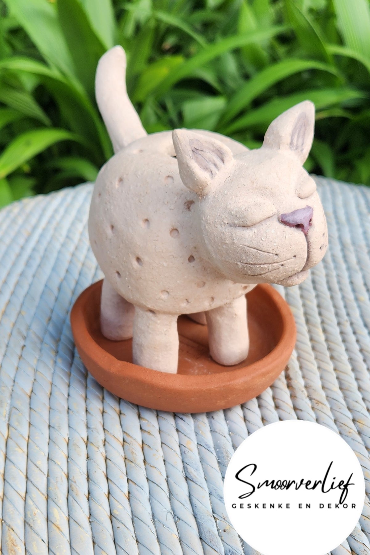 Chia Saadplanter